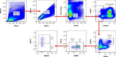 Type 2 Diabetes Mellitus and Latent Tuberculosis Infection Moderately Influence Innate Lymphoid Cell Immune Responses in Uganda